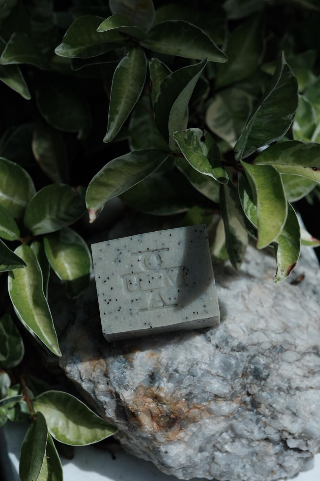 OUMA Soap Bar No. 003 Forest, atmosphere image 